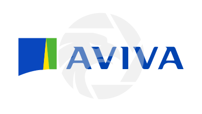 AVIVATRADE.CO