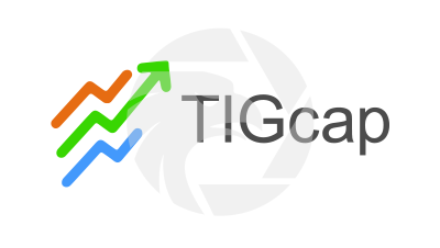 TIG Capital