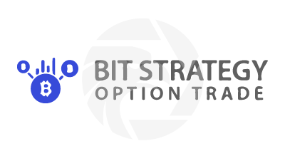 Bit Strategy Option Trade