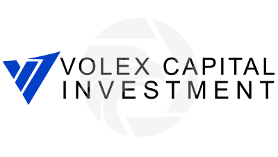 Volex Capital Investment