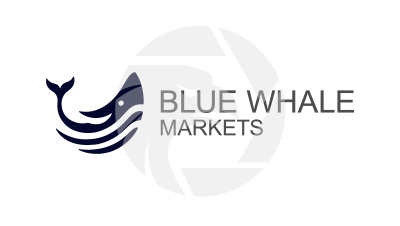 Blue Whale Markets