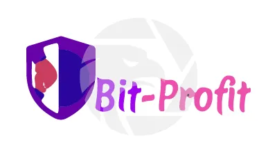 bit-profit.digital