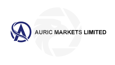 Auric Markets Limited 