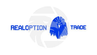 REALOPTION-TRADE.COM