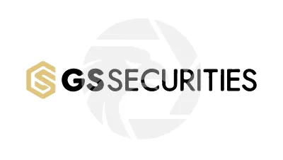 GS SECURITIES