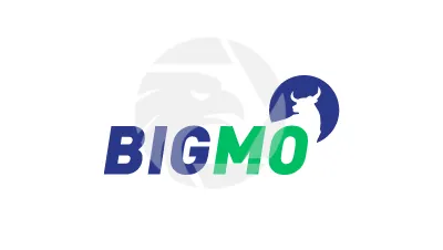 BIGMO