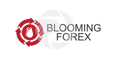 Blooming Forex