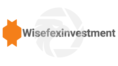 WISEFEXINVESTMENT