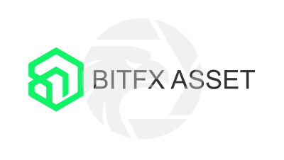 Bitfx Asset