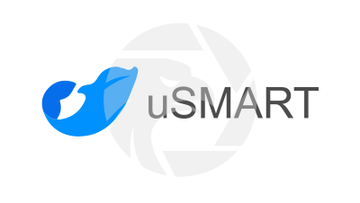 uSMART Group盈立集團