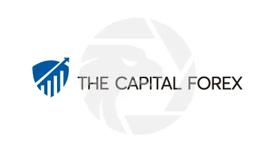 The Capital Forex