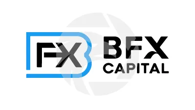 BFX CAPITAL