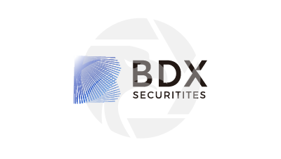 BDX SECURITIES