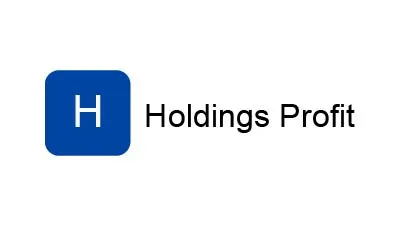Holdings Profit