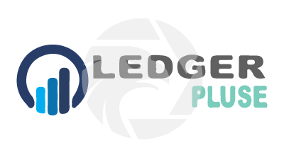 LedgerPluse