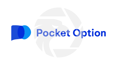 Pocket Option Guides