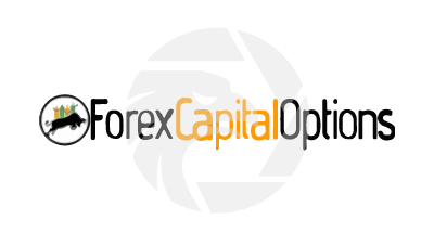 ForexCapitalOptions