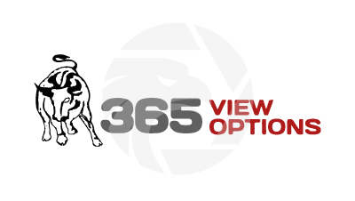 365view Options