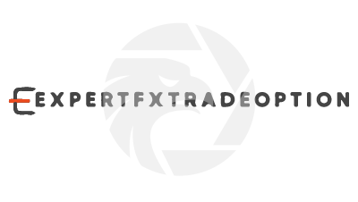 Expertfxtradeoption