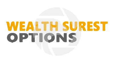 Wealth Surest Options