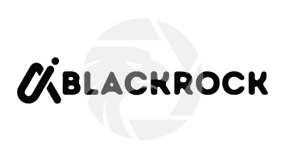 BLACKROCK INVESTMENT