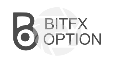 BITFX OPTION