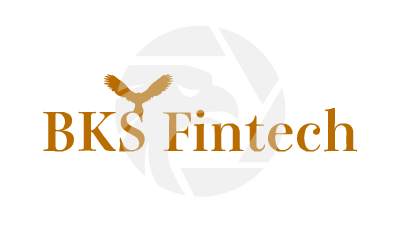 BKS Fintech