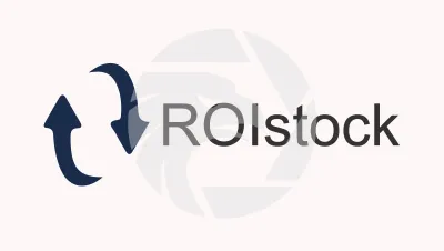 ROI Stock