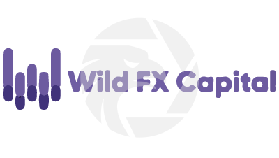 Wild FX Capital