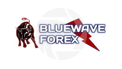 Bluewave Forex