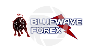 Bluewave Forex