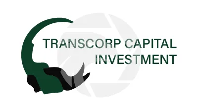 Transcorp Capital Investment