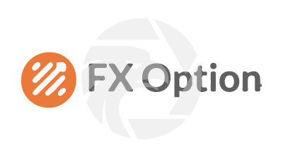  Fx Option