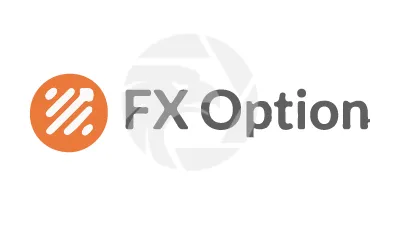  Fx Option