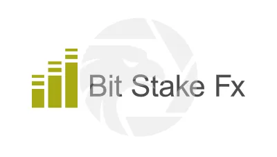 Bit Stake Fx
