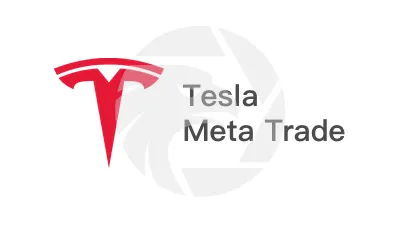 Tesla Meta Trade