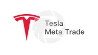 Tesla Meta Trade