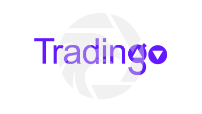 tradingo 