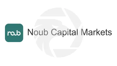 Noub Capital Markets