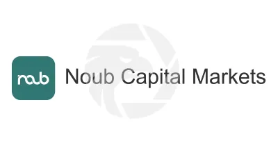 Noub Capital Markets