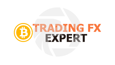 Trading Fx Expert