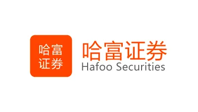 Hafoo Securities