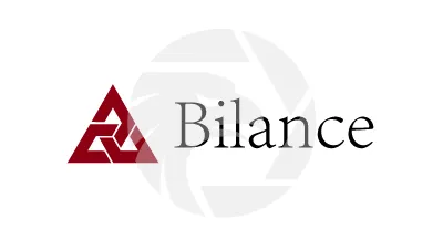 Bilance Group