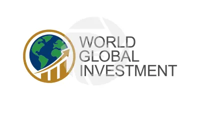 WORLD GLOBAL INVESTMENT