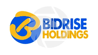 bidrise-holdings.com