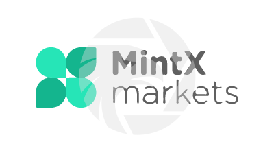 MintX Markets