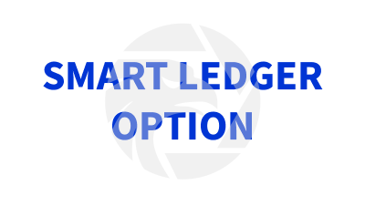 SMART LEDGER OPTION
