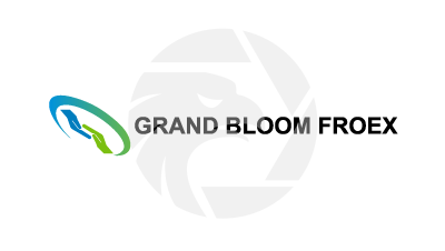 GRAND BLOOM FROEX 