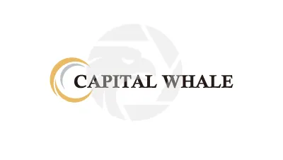 Capital Whale