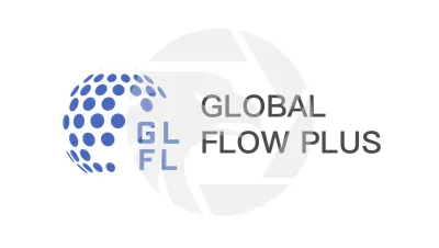 GLOBAL FLOW PLUS